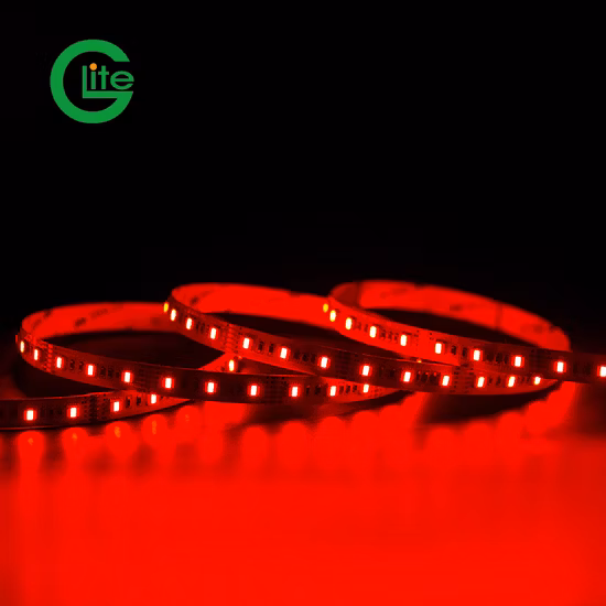 Five Years Warranty Auto DMX Write Address DMX512 RGBW LED Strip