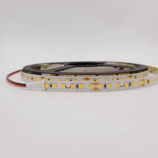 SMD 5050 60LEDs Basse Tension DC 12V 24V Haute Tension AC 110V 220V IP68 Bande LED Flexible Étanche