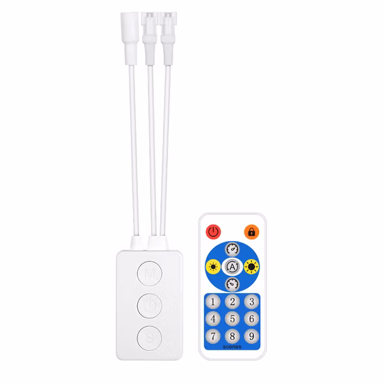 5m 10m Sp601e Bluetooth-Compatible RF Music Control Dream Color 12V Ws2811 30LED/M RVB Bande LED couleur avec alimentation LED 12V