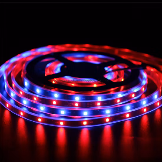 Bande LED Ws2811 Pixel LED Bande LED programmable 12V