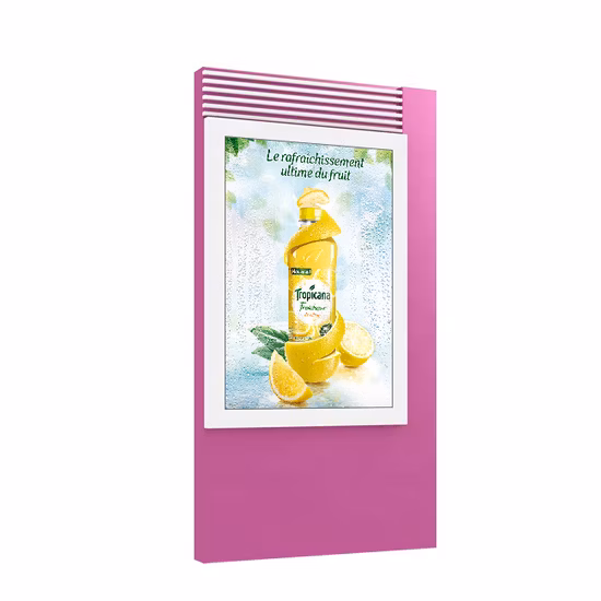 Mupi de caisson lumineux d'affichage à LED polychrome de plancher imperméable de rue de la ville P6