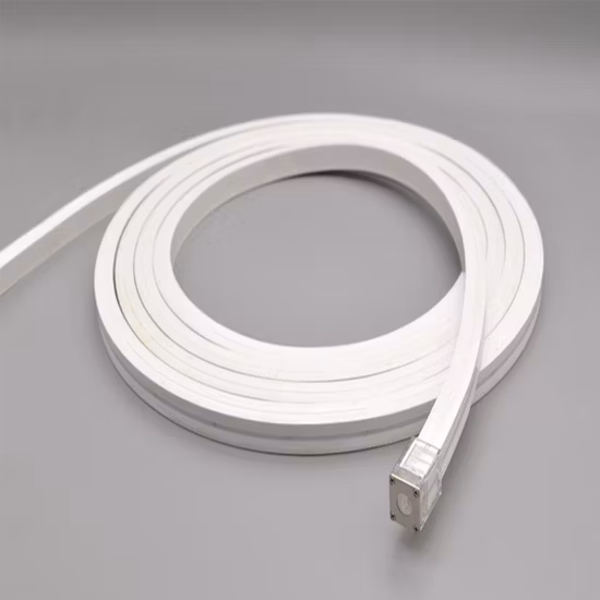 Silicone de gros d'usine IP67 24V 5050 DMX RVB LED à couleur variable Neon Flex Strip Light